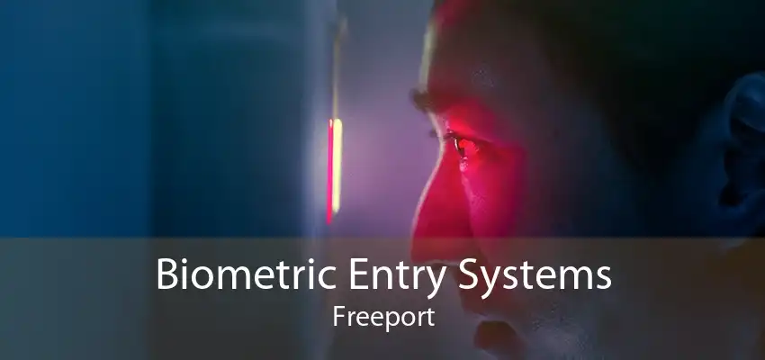 Biometric Entry Systems Freeport